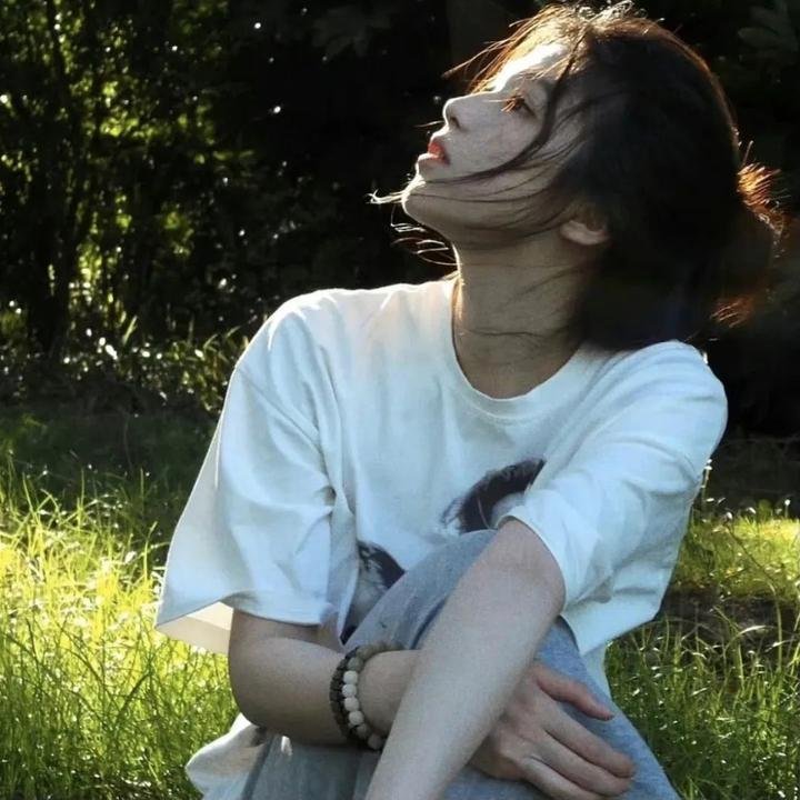 山狗海报